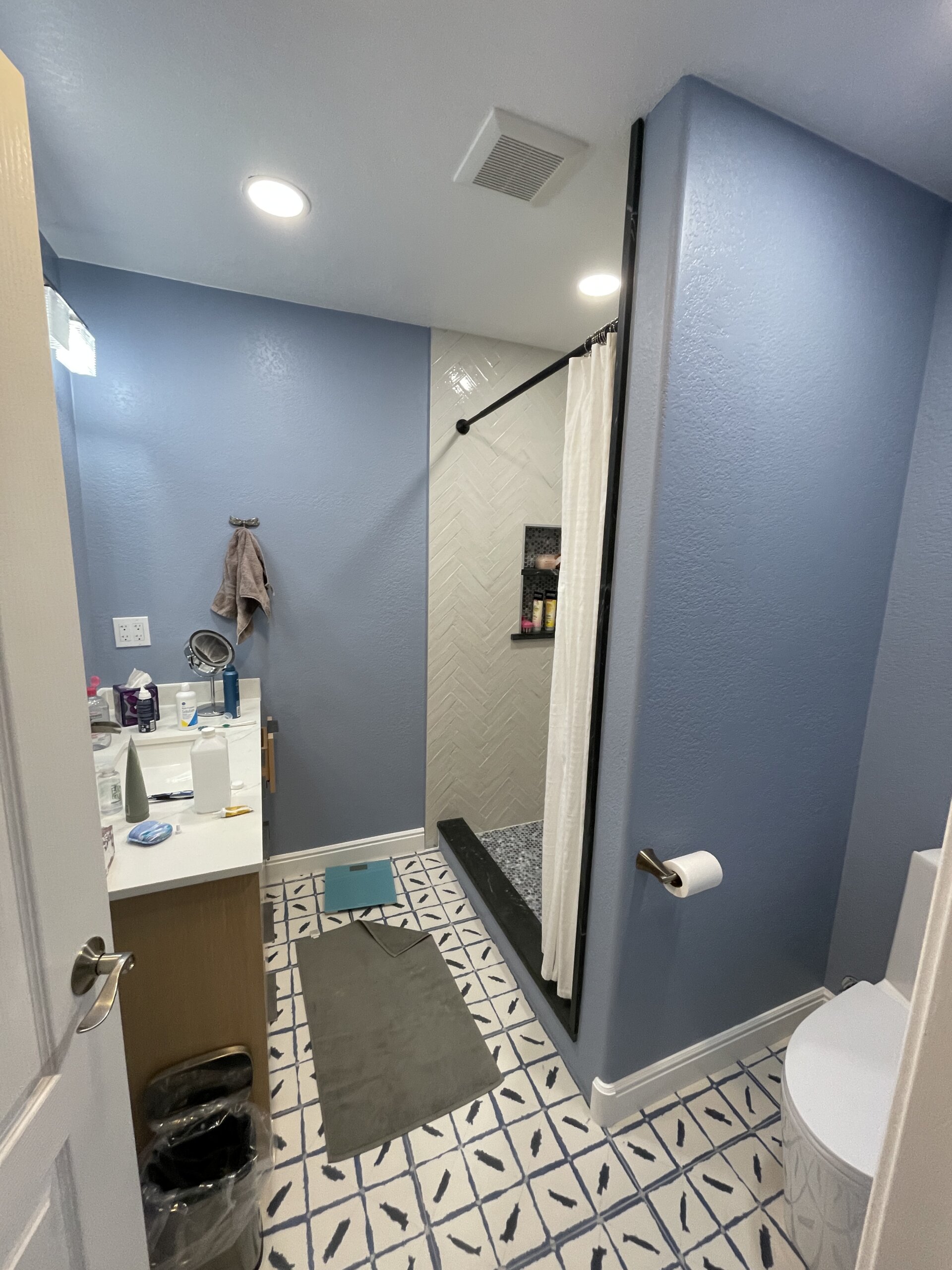 Westminster Colorado Over Garage Addition - Hall Bath